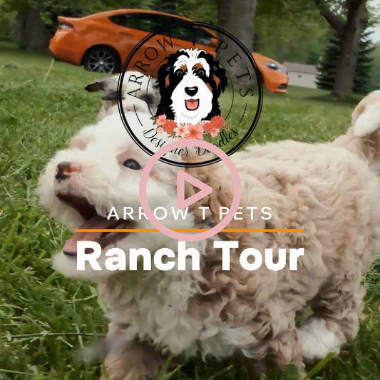 Ranch Tour Video