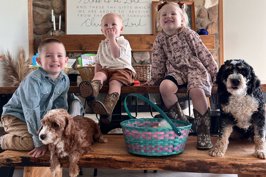 Are Bernedoodles Good Family Dogs?