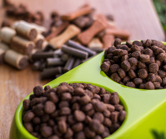 How Much Should You Feed Your Goldendoodle Puppy?