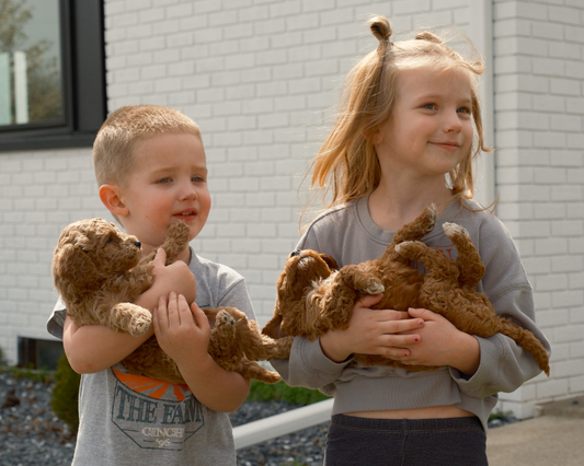 How to Effectively Give Your Goldendoodle a Pill?