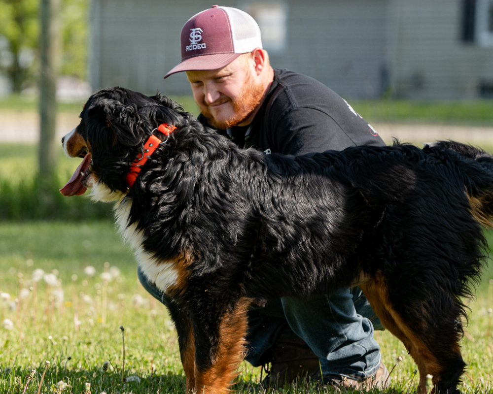 Signs You Have Found the Best Bernedoodle Breeder
