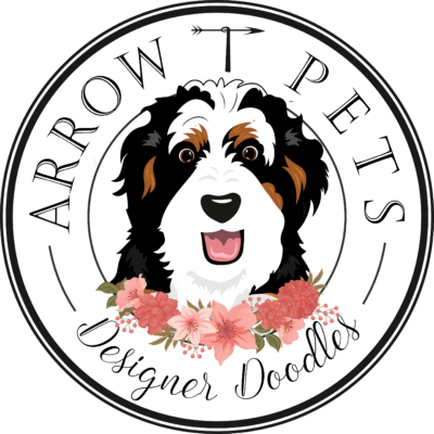 Arrow T Pets