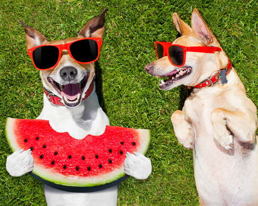Are All Fruits Safe for Dogs?