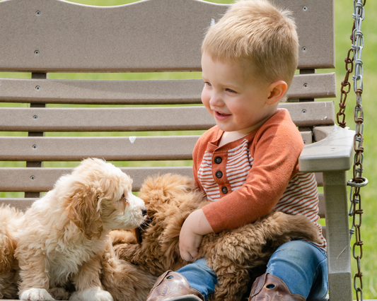 The Goldendoodle Diet: Nutrition and Feeding Strategies for a Healthy Doodle