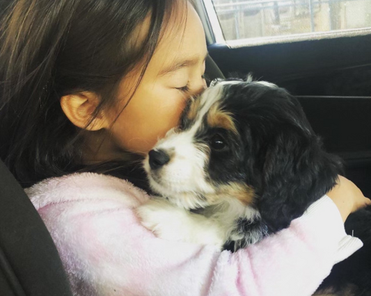 The Psychology Behind Why We Love Dogs So Much