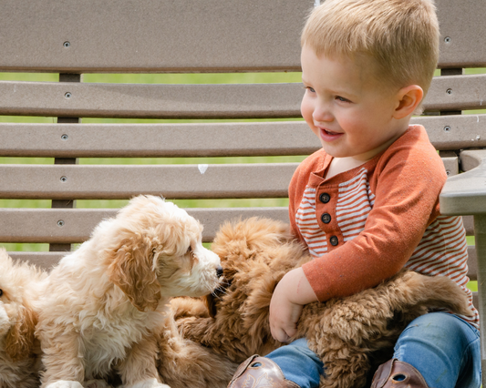 What is Dog Temperament and Why is it So Important?