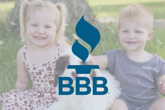  BBB Accreditation 